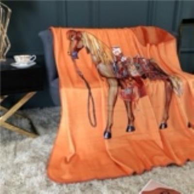 wholesale quality hermes blankets model no. 21